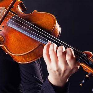 viola