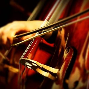 violonchelo