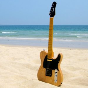 GUITARRA ELECTRICA VERANO