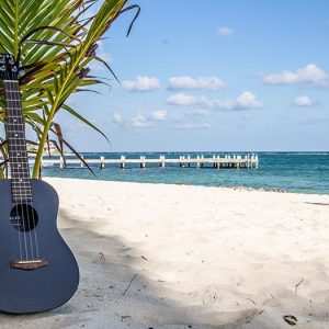 UKELELE VERANO